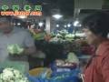 扎堆出售　姜價(jià)回調(diào) ()