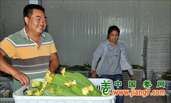 未標(biāo)題-1