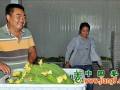 蔬菜供給側(cè)改革，打造產(chǎn)業(yè)新生態(tài) ()