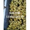 面姜.大黃姜.小黃姜.產(chǎn)地批發(fā)13562356378