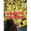15953085365大黃姜.小黃姜.面姜.鮮姜.產(chǎn)地直銷