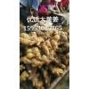 15953085365優(yōu)質(zhì)生姜鮮姜產(chǎn)地直銷