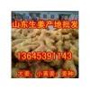 大量批發(fā)山東優(yōu)質(zhì)大姜，小黃姜，鮮姜
