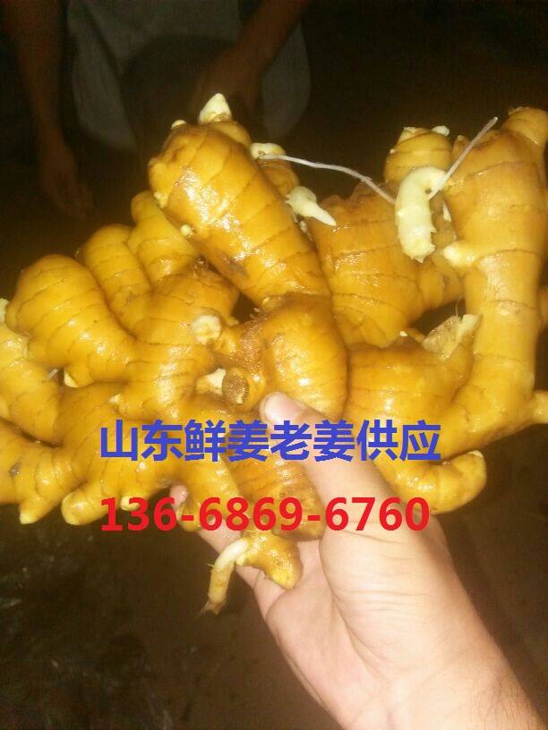 QQ圖片20161229110710