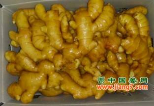 安丘有機(jī)生姜出口旺季到來 ()