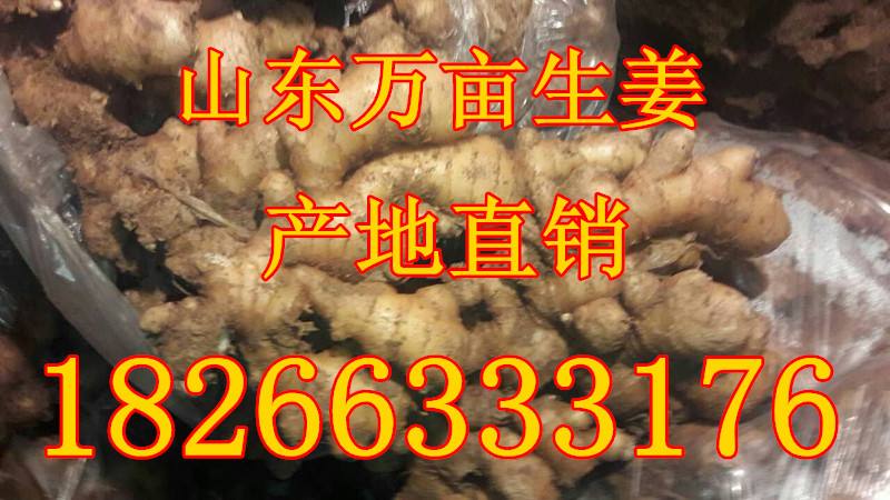 高3