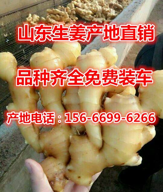1489633439878_mmexport1486356567495388_副本