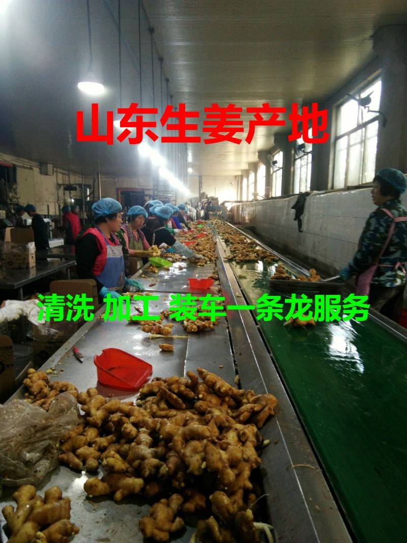 QQ圖片20171113155649_meitu_1