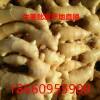 生姜批發(fā) 生姜價(jià)格 生姜產(chǎn)地批發(fā)多少錢一斤