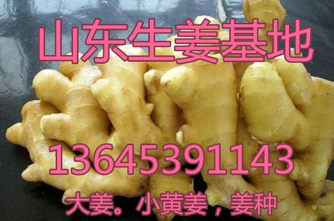 2345水洗姜圖片_image_file_copy_1_副本