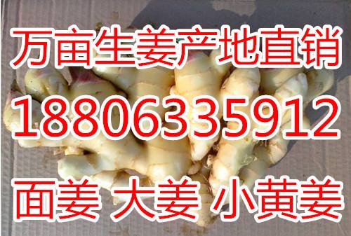 333_副本