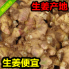 13563913907生姜價(jià)格便宜/山東生姜產(chǎn)地批發(fā)