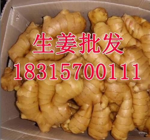 生姜電話4