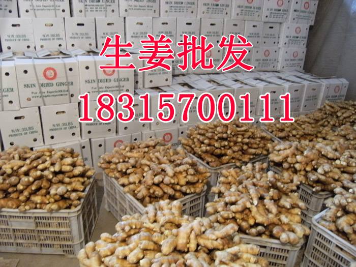 生姜電話7