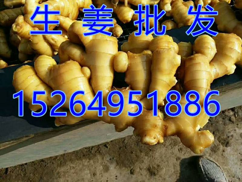 1886mmexport1505740439135_副本