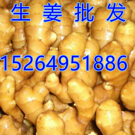 18866ab99171be7357f12eda7740107c6068_副本
