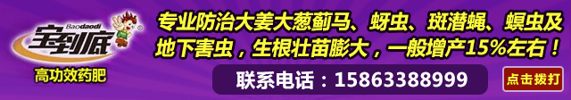 曹金平