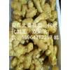 安丘大姜大量對外出貨，歡迎洽談