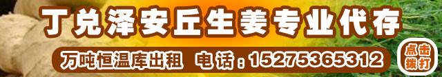 丁兌澤