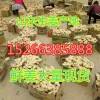 常年供應(yīng)山東優(yōu)質(zhì)生姜 姜種批發(fā)