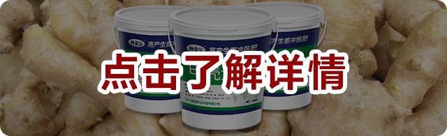 圖片1