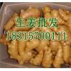 2018年山東生姜產(chǎn)地價格最新生姜供應(yīng)價格