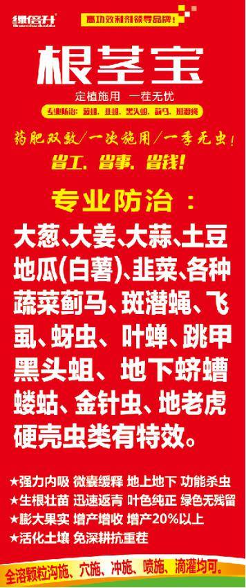 圖片1