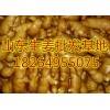 18264955075大量批發山東優質大姜小姜