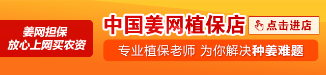 早報內頁