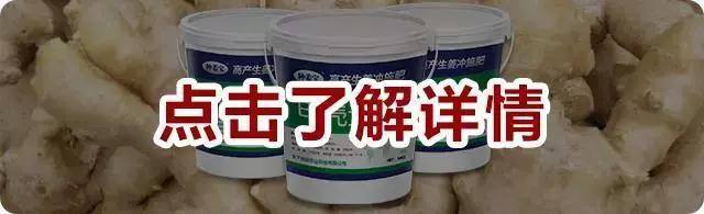 微信圖片_20180630163005