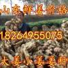 山東日照莒縣萬畝小黃姜大黃姜大量上市