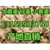 每天上貨20多萬斤