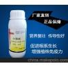 生姜莖基腐病治療專用藥青枯立克廠家直銷