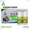 急求生姜姜瘟病專用藥姜瘟凈廠家直營