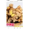 小黃姜