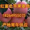 18264955075山東萬畝鮮姜大姜小黃姜大量上市