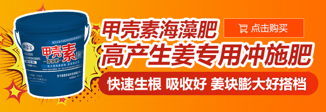 圖片2