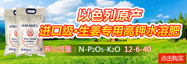 圖片6