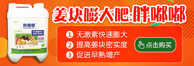 圖片7