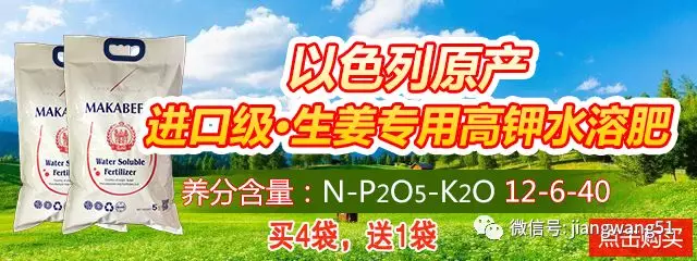QQ圖片20180911195930