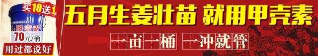 手機端價格640<em></em>x112