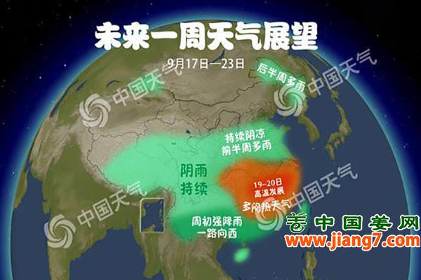 大姜旺長(zhǎng)期，天氣更給力！ ()