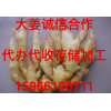 姜窖租賃，代收代銷，誠信合作