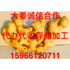 姜窖租賃，代收代存，誠信合作