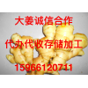 姜窖租賃，專業(yè)代辦、常年供應(yīng)大姜，誠信合作