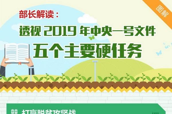 部長解讀：透視2019年中央一號文件五個主要硬任務 ()