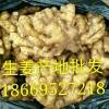 生姜價格18669527218