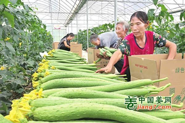 長(zhǎng)春蔬菜價(jià)格進(jìn)入季節(jié)性下行通道 ()
