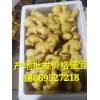 生姜批發18669527218
