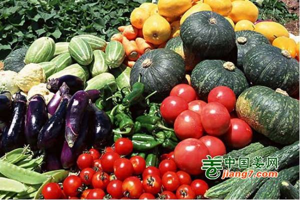三亞蔬菜供應(yīng)充足 ()